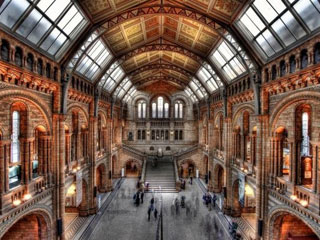 Музей естествознания в Лондоне