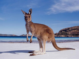 Туристическая Австралия